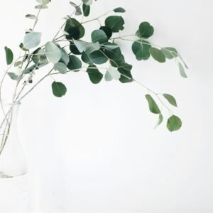 Modern Concrete Planter