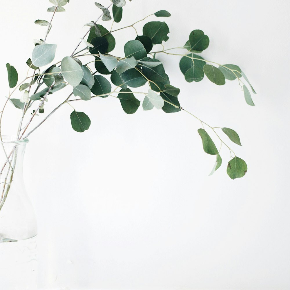 Modern Concrete Planter