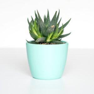 Terracotta Standing Planter