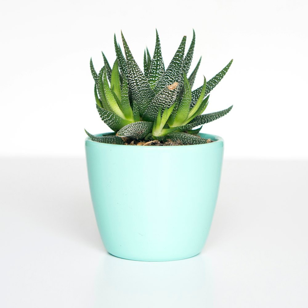 Terracotta Standing Planter